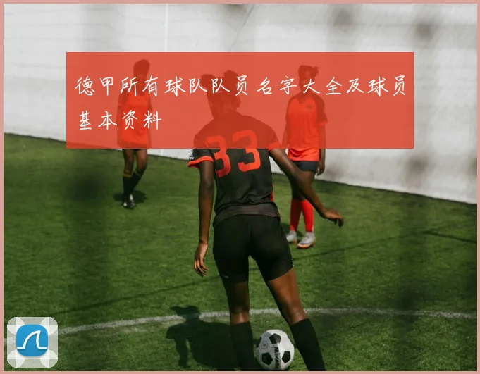 德甲所有球队队员名字大全及球员基本资料