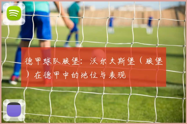 德甲球队狼堡:沃尔夫斯堡(狼堡)在德甲中的地位与表现