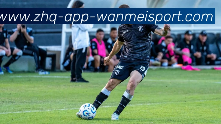 完美体育发展历程