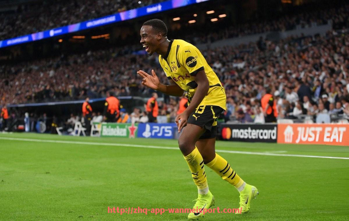 完美体育官方入口-世俱杯护具设计中人体工学原理的融合与应用实例